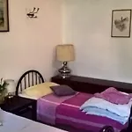 Bed In Guest house